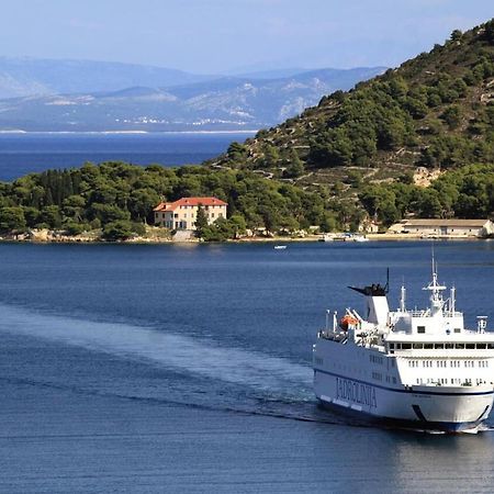 Apartments Zoki - Great Location Close To The Sea Vis Exterior photo